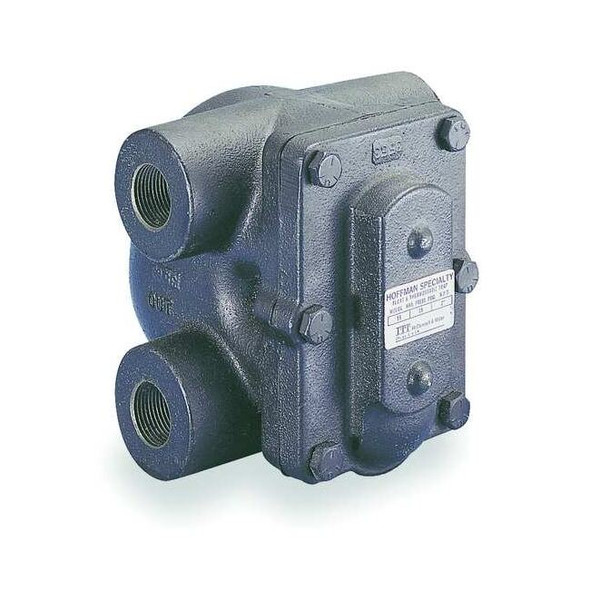Bell & Gossett Steam Trap,30 psi,406F,5-1/2 In. L FT030H-3