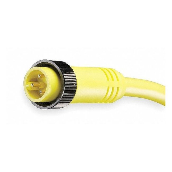 Brad Harrison Cordset,3 Pin,Plug,Male 103002A01F060