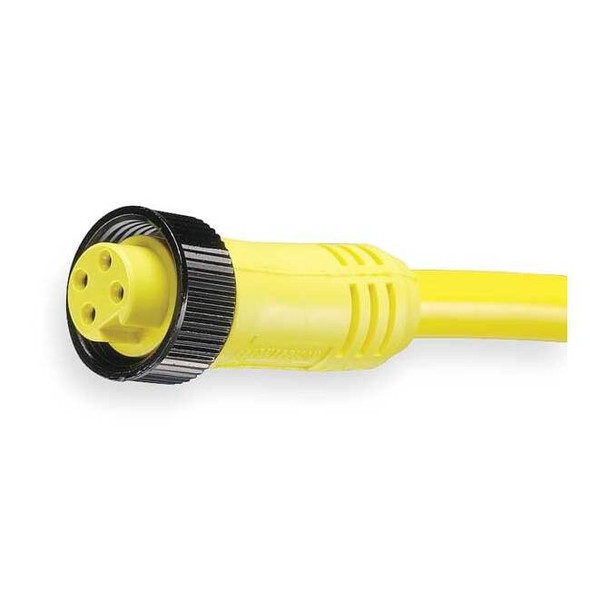 Brad Harrison Cordset,4 Pin,Receptacle,Female 104000A01F200