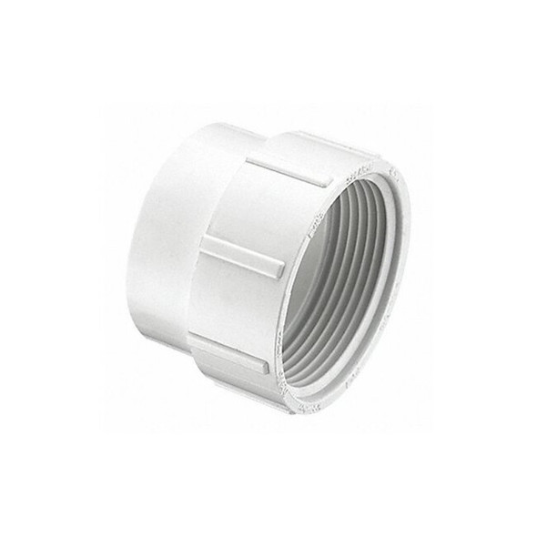 Manufacturer Varies Cleanout Adapter, Schedule DWV, 6 in P105-060