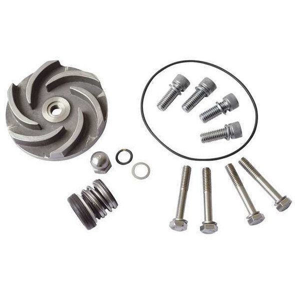Dayton Pump Repair Kit,For 2ZWU2,2ZWU3 21TG65 Dayton Pump Repair Kit,For 2ZWU2,2ZWU3 21TG65