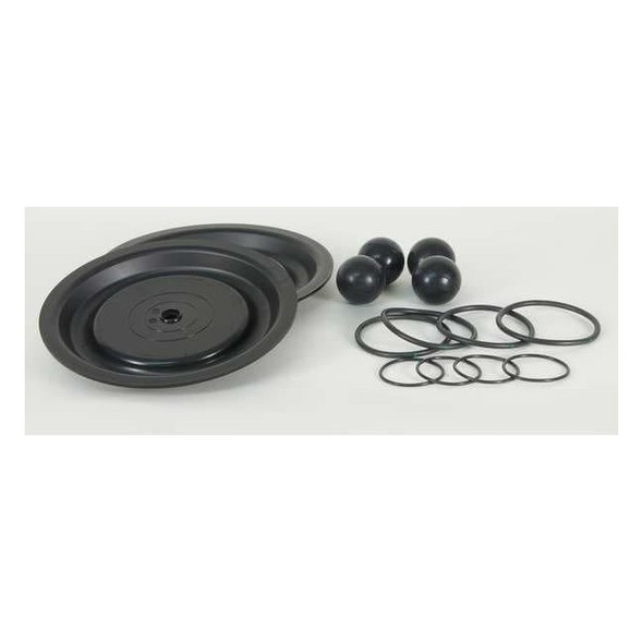 Dayton Pump Repair Kit,Fluid,1 In.,For 3HJW5 22A613