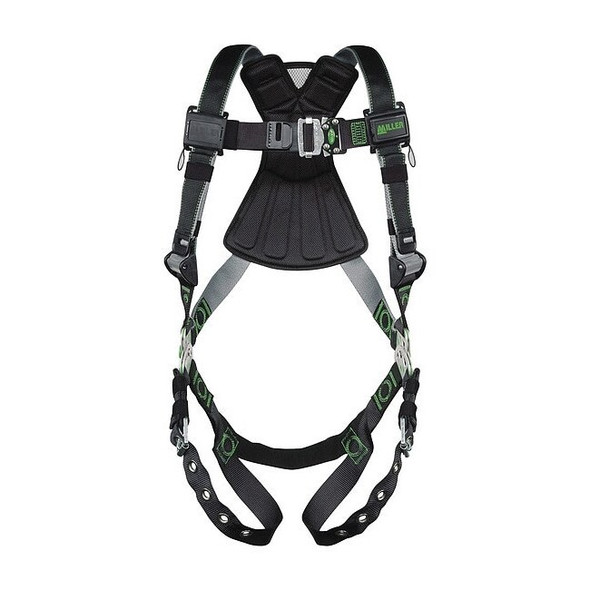 Miller by Pip RDT-TB/UBK