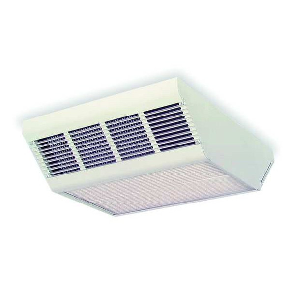 Dayton Convection Ceiling Heater,208V,17,100Btu 2YU44