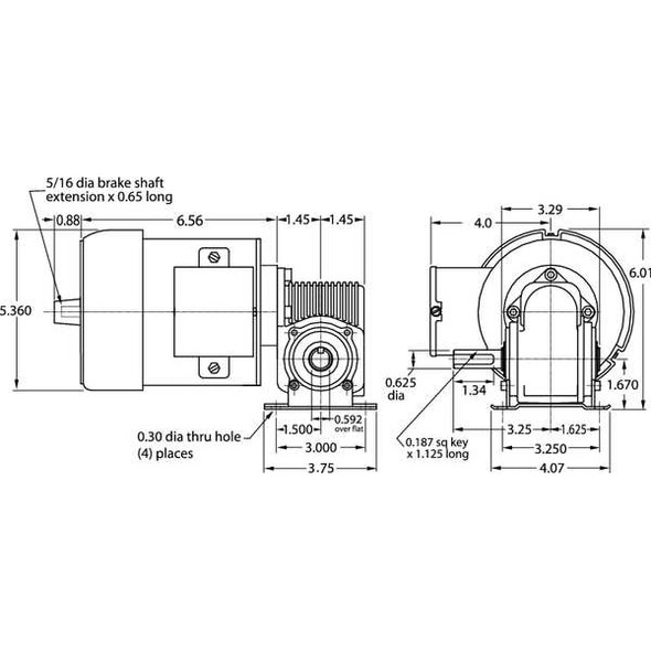Dayton AC Gearmotor,TEFC,55RPM,115/230V AC 3XA90