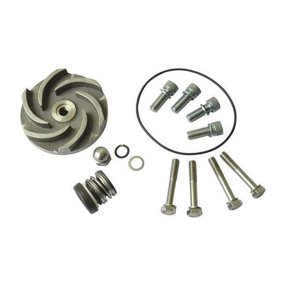 Dayton Pump Repair Kit,For 2ZWT9,2ZWU1 21TG63