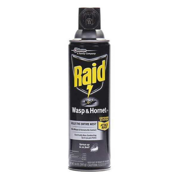 Raid Wasp and Hornet Killer,14 oz. 668006
