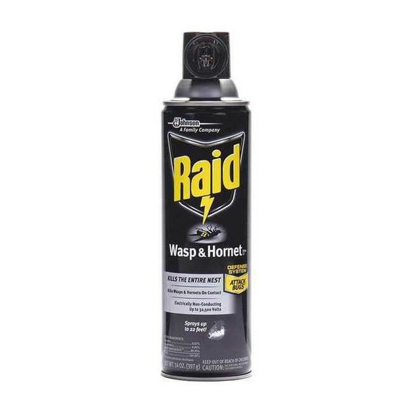 Raid Wasp and Hornet Killer,14 oz. 668006