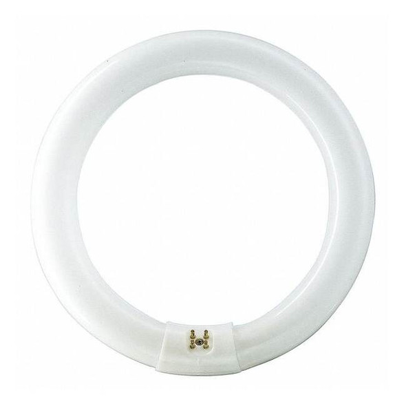 Philips Circular Fluorescent Lamp,8" Bulb Dia. FC8T9/DAYDLX/22W/8 12PK