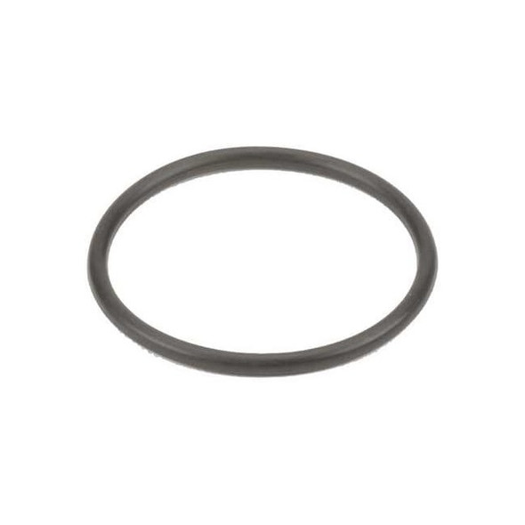 Banjo Gasket,T Line Strainer,3/4-1 In LST100-G