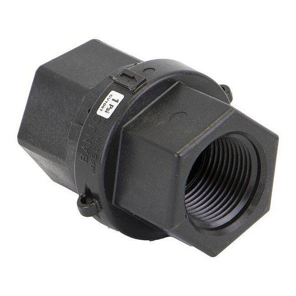 Check Valve, Inline Spring, 1 in, FNPT x FNPT, Polypropylene Body, EPDM Seal