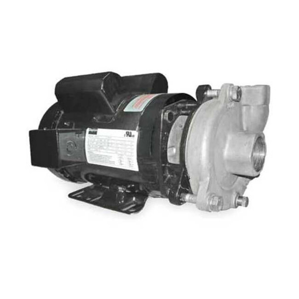 Dayton Stainless Steel 3 HP Centrifugal Pump 230V 2ZWX1