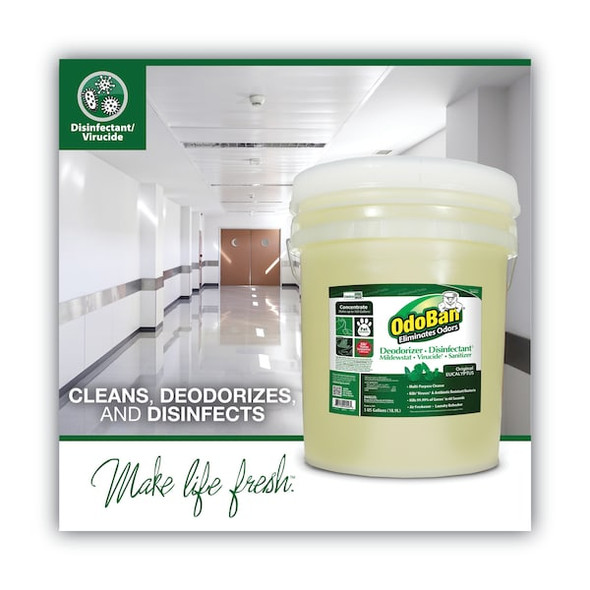 Odoban Concentrated Odor Eliminator and Disinfectant, Eucalyptus, 5 gal Pail CCC 911062-5G