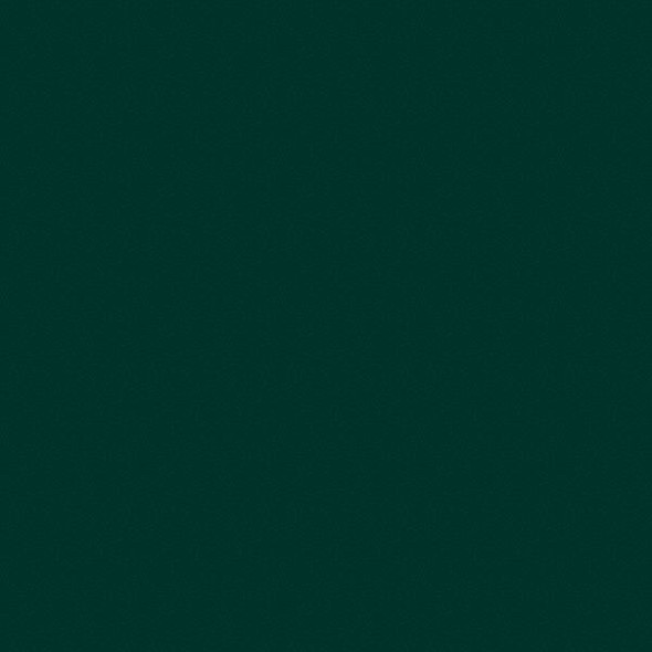 Rust-Oleum Spray Paint, Hunter Green, Gloss, Solvent, 12 oz 1638830