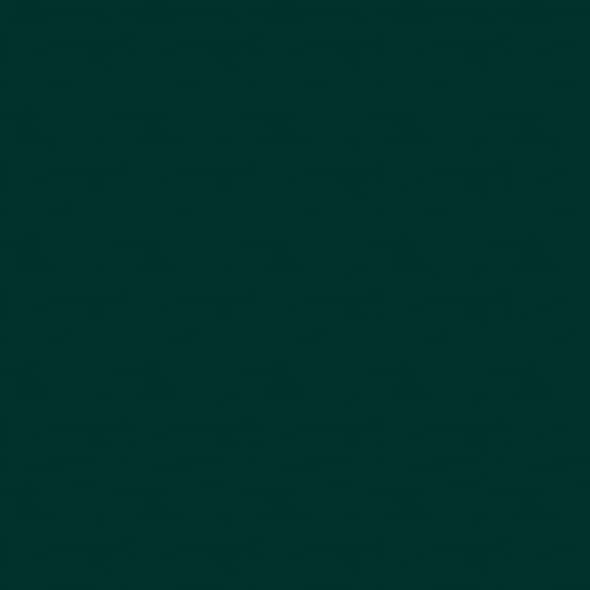 Rust-Oleum Spray Paint, Hunter Green, Gloss, Solvent, 12 oz 1638830