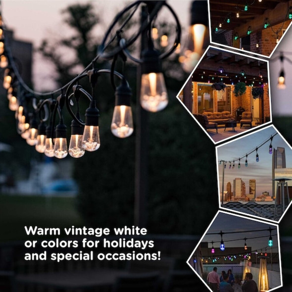 Enbrighten Seasons Cafe Lights,48 ft.,24 Bulbs 37790