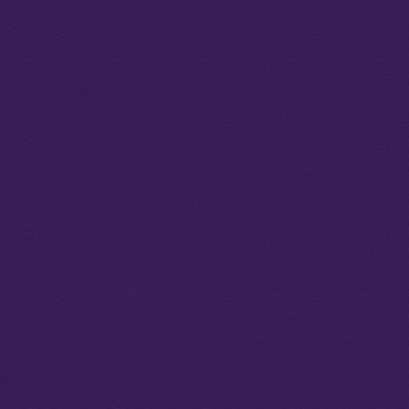 Rust-Oleum Spray Paint, Purple, Gloss, Solvent, 12 oz 257399