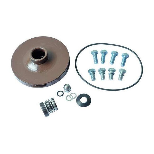 Dayton Pump Repair Kit,For 2ZXJ5,2ZXJ6 21TH19