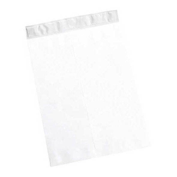 Tyvek Flat Envelopes,15x20",PK100 TYF1520WS Tyvek Flat Envelopes,15x20",PK100 TYF1520WS