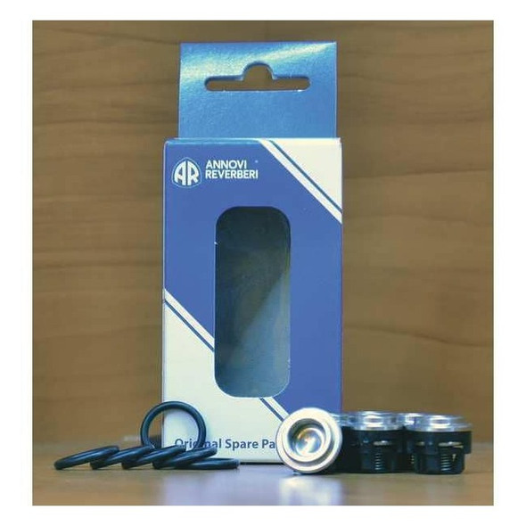 A.R. North America Valve Kit AR1864