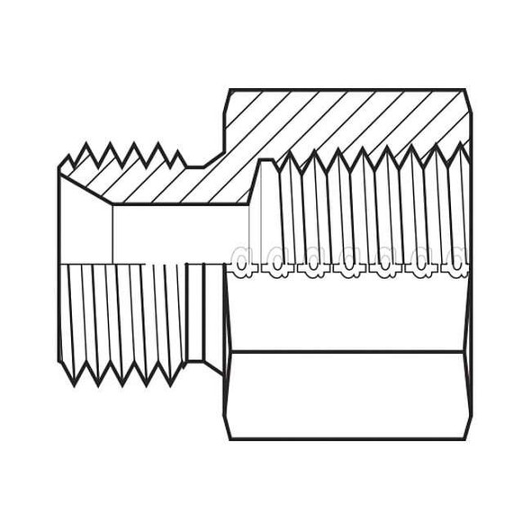 Adaptall Hose Adapter,1-1/4",BSPP,1-1/4",NPT 9035-2020