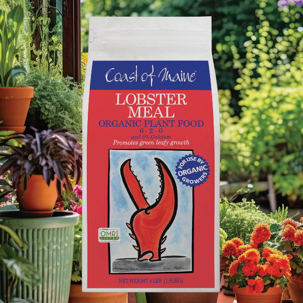 Coast of Maine 4 Lb. Lobster Meal Greening & Leafing Organic Soil Conditioner