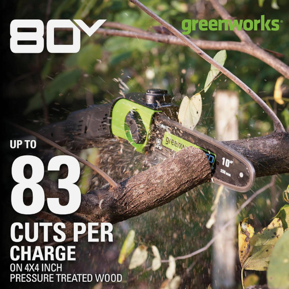 Greenworks 80V 10 In. Brushless Pole Saw with 2.0 Ah Battery & Charger 1405802 758409