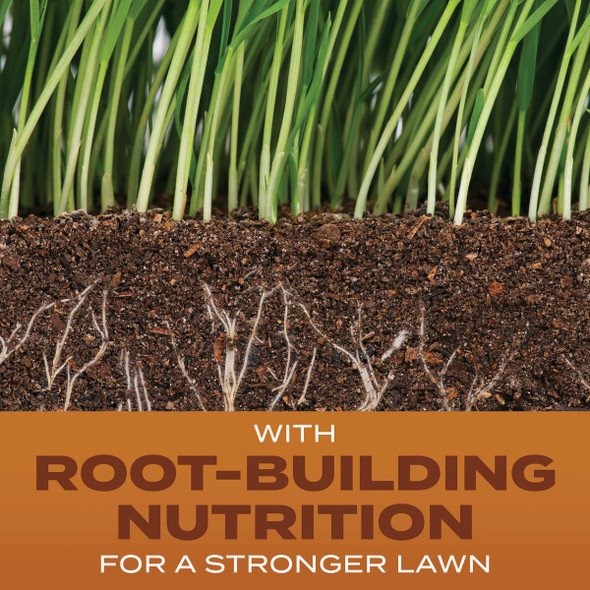 2.4# Tb Hightraffic Seed