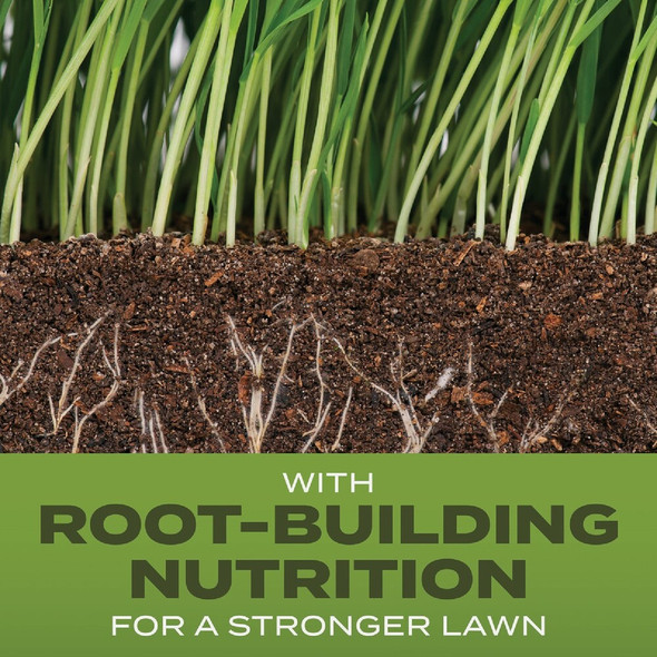 Turf Builder 5.6# Tb Tall Fescue Seed 18047 748080