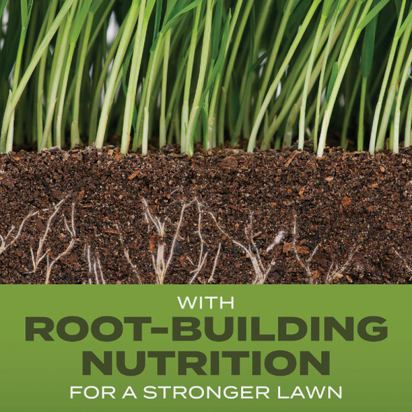 5.6# Tb Tall Fescue Seed