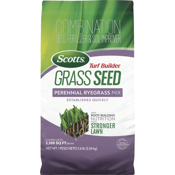 Turf Builder 5.6# Tb Penn Rye Seed 18039