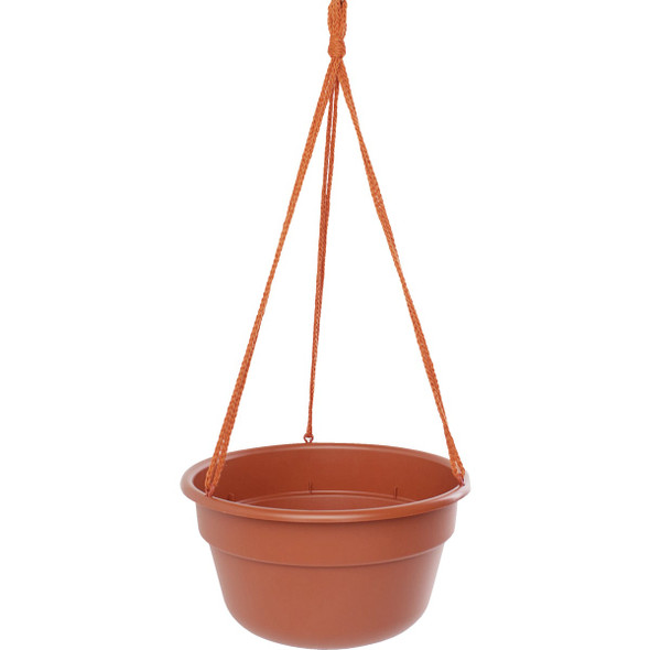 Bloem Dura Cotta 12 In. Plastic Terra Cotta Hanging Plant Basket DCHB12-46