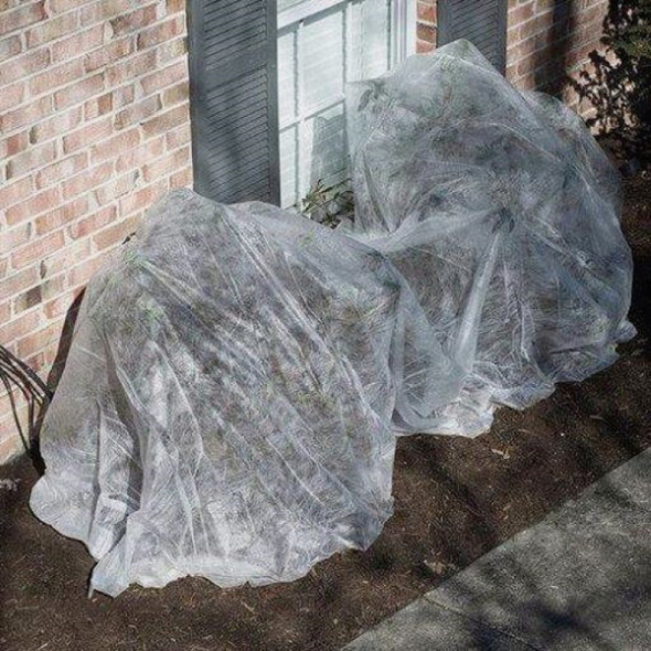 Dalen Insect Guard 5 Ft. x 40 Ft. Protective Garden Cover ING-40 753002