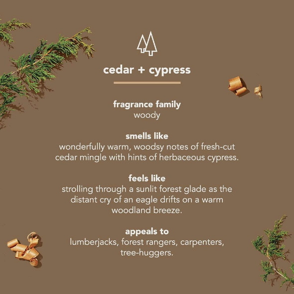 Method 18 Oz. Cedar + Cypress Men's Body Wash 01860 637204