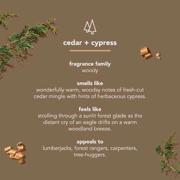 Method 18 Oz. Cedar + Cypress Men's Body Wash