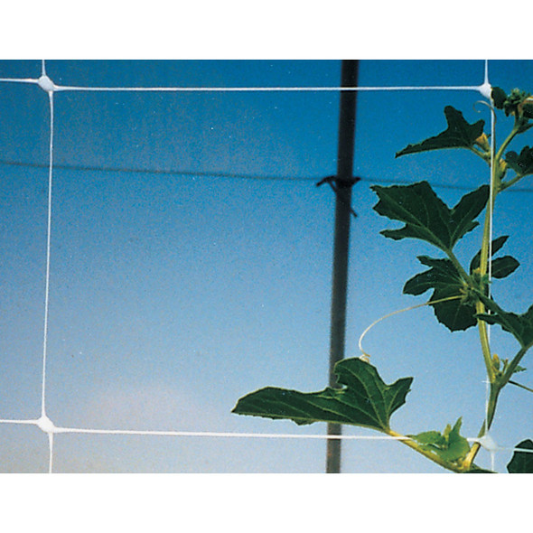 Tenax Hortanova 48 In. x 8 Ft. Polypropylene Trellis Netting Tenax Hortanova 48 In. x 8 Ft. Polypropylene Trellis Netting