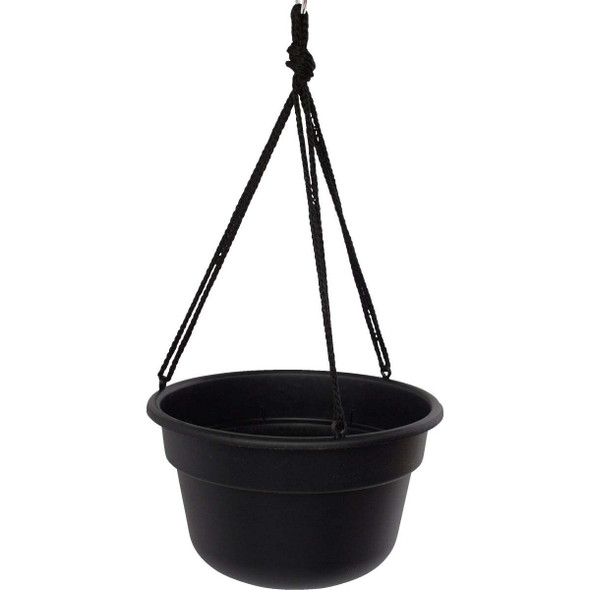 Bloem Dura Cotta 12 In. Plastic Black Hanging Plant Basket DCHB12-00