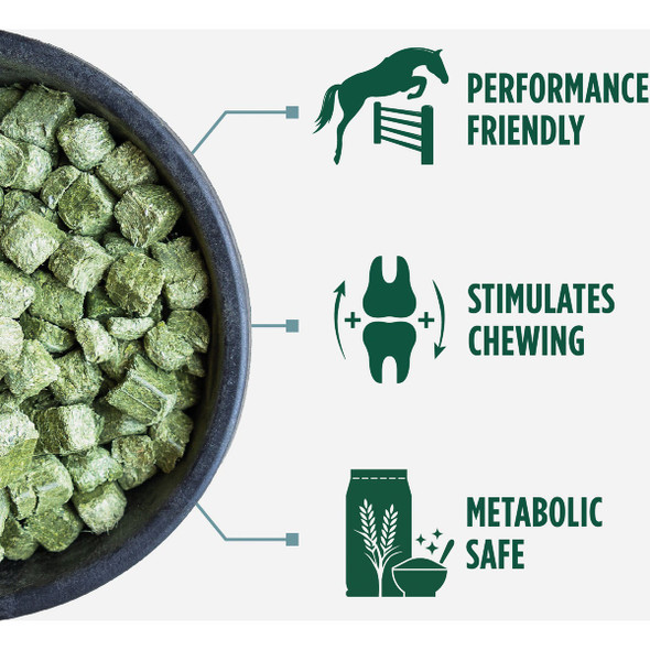 Standlee Premium Western Forage 40 Lb. Alfalfa & Timothy Cubes