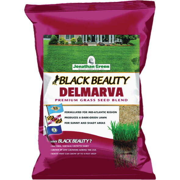 Black Beauty 3# Delmrv Grass Seed 10394