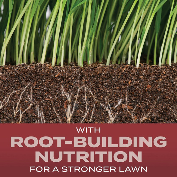 Turf Builder 2.4# Tb Sunny Grass Seed 18035 742199