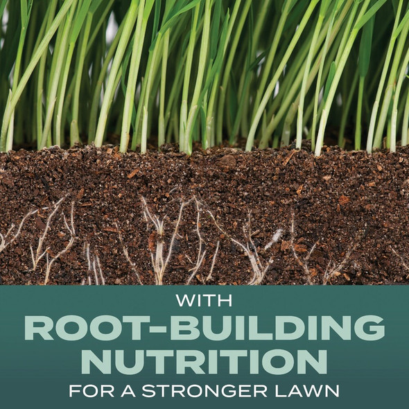 Turf Builder 2.4# Tb Denseshade Seed 18059 732963