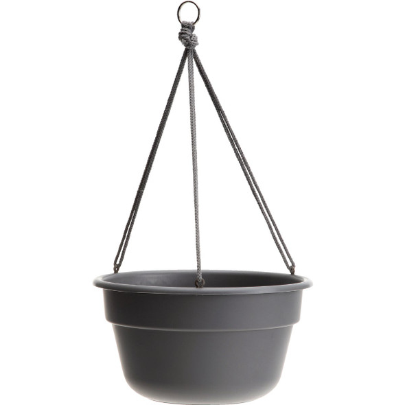Bloem Dura Cotta 12 In. Plastic Charcoal Hanging Plant Basket DCHB12-908
