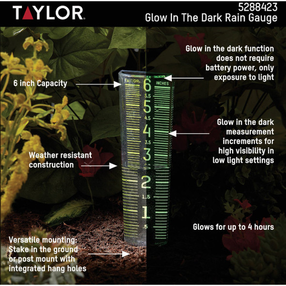 Taylor Glow In Dark Rain Gauge