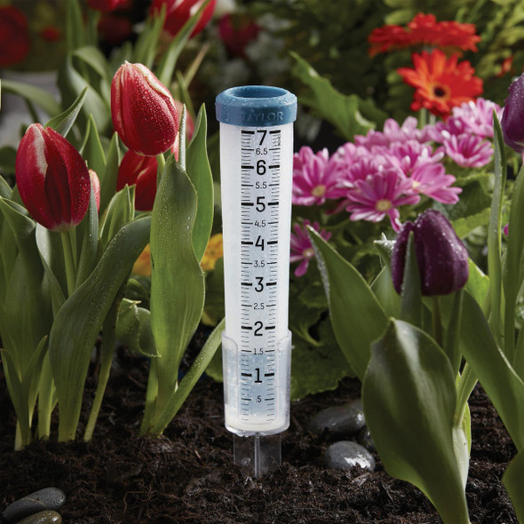 Taylor 7 In. Capacity Shatterproof Silicone Rain Gauge with Ground Stake