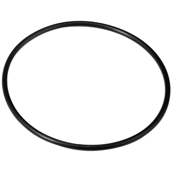 Culligan 1 In. Water Filter O-Ring OR100