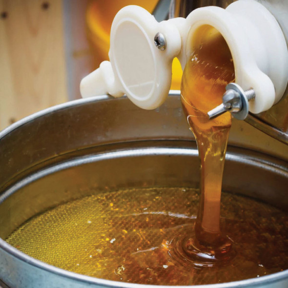 Harvest Lane Honey 5 Gal Plastic Honey Bucket with Gate