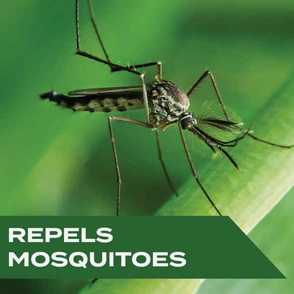 Stem 4 Oz. Spritz Mosquito Repellent Spritz 3285 706714