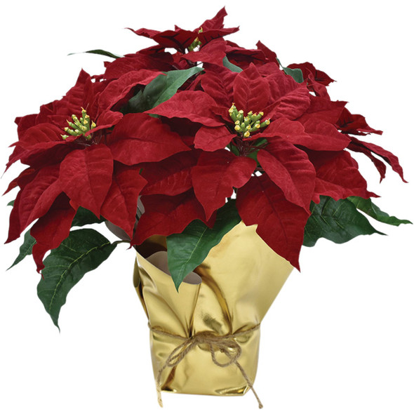 17 In. Regal Red Poinsettia XA201983A Pack of 4