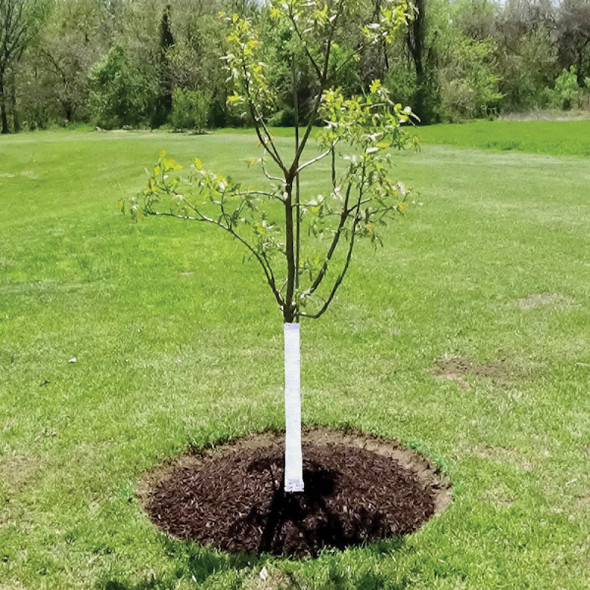 DeWitt White Polypropylene 3 In. x 50 Ft. Tree Wrap TW3W 744505
