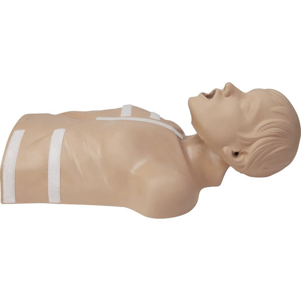 ZOLL CPR-D Demo Manikin - Green - 1 Each
